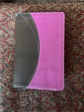 Pink and Brown mini sized NIV Bible